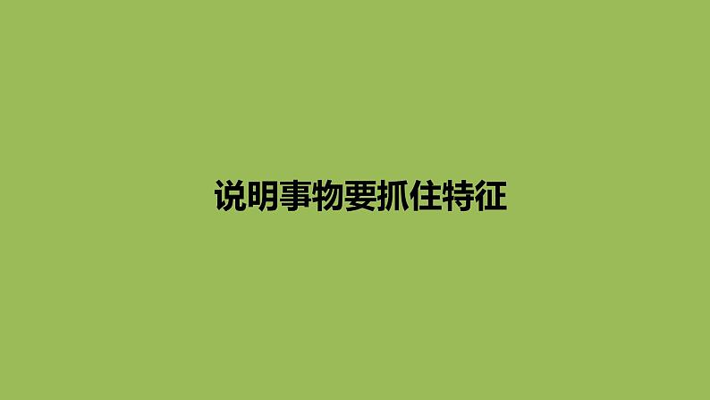 中考作文《说明事物要抓住特征》创新教学课件01