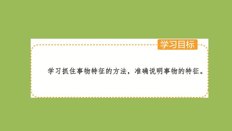 中考作文《说明事物要抓住特征》创新教学课件02