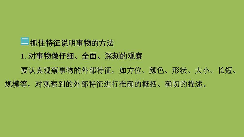 中考作文《说明事物要抓住特征》创新教学课件04