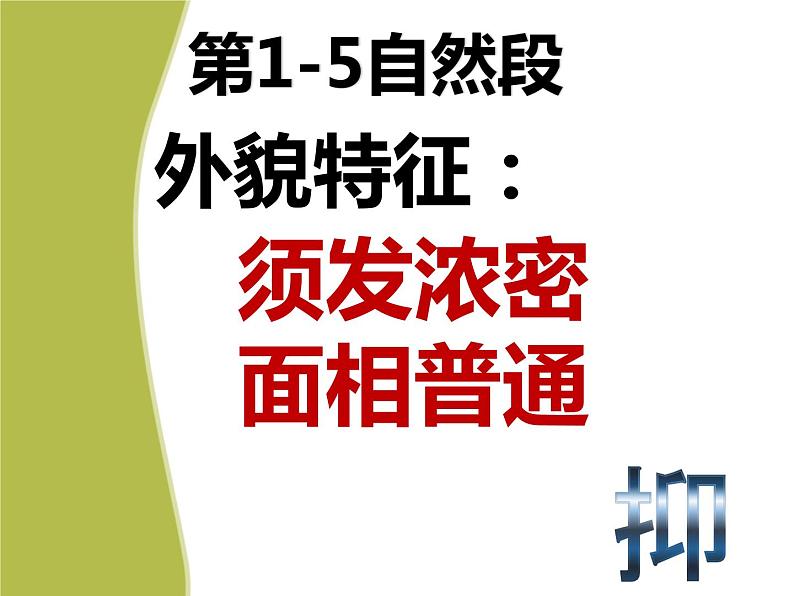 人教部编版八年级上册7《列夫·托尔斯泰》课件第4页