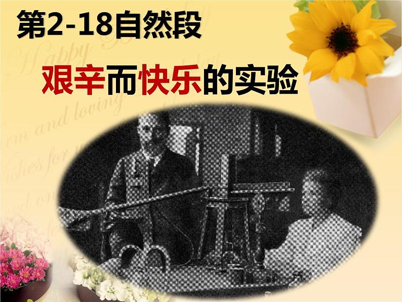 人教部编版八年级上册8《美丽的颜色》课件第4页