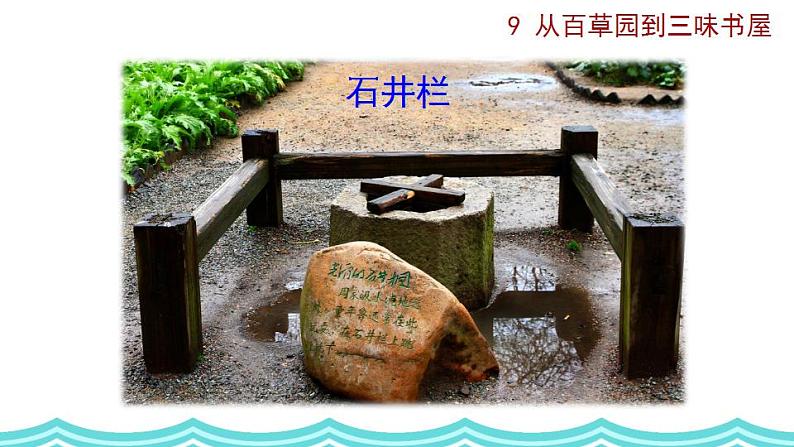 部编版语文9 《从百草园到三味书屋》PPT课件第2页