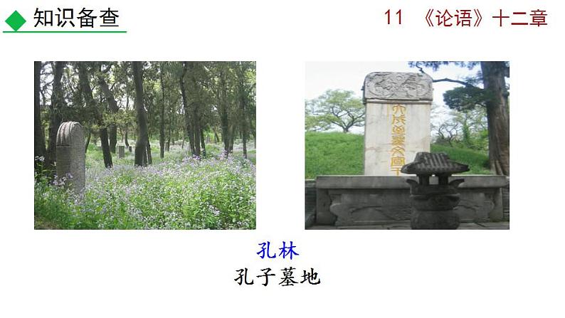 部编版语文11 《〈论语〉十二章》PPT课件第6页
