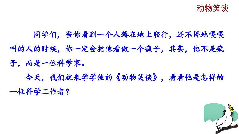 部编版语文17《动物笑谈》PPT课件第1页