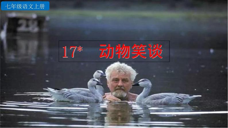部编版语文17《动物笑谈》PPT课件第2页