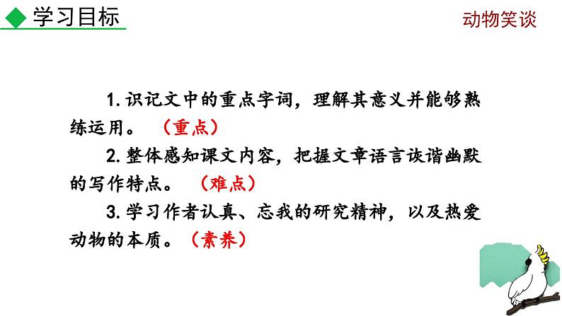 部编版语文17《动物笑谈》PPT课件第3页