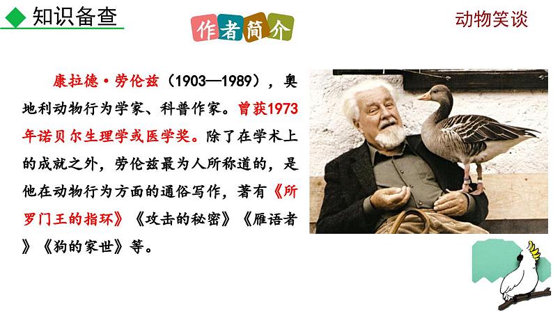 部编版语文17《动物笑谈》PPT课件第4页