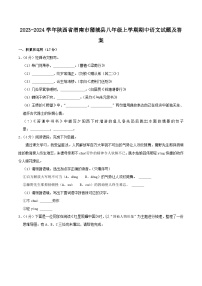 2023-2024学年陕西省渭南市蒲城县八年级上学期期中语文试题及答案