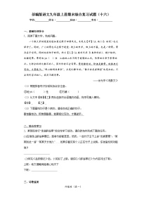 部编版语文九年级上册期末综合复习试题（十六）