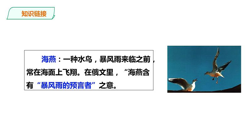 4 海燕（教学课件）-【上好课】九年级语文下册同步备课系列（统编版）第3页