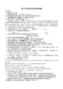 黑龙江省绥化市北林区2023-2024学年八年级(五四学制)上学期期末测试语文试卷（含答案）