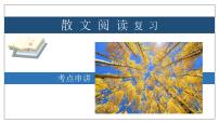 专题06 散文阅读【考点串讲】-2023-2024学年八年级语文上学期期末考点大串讲（统编版）课件PPT