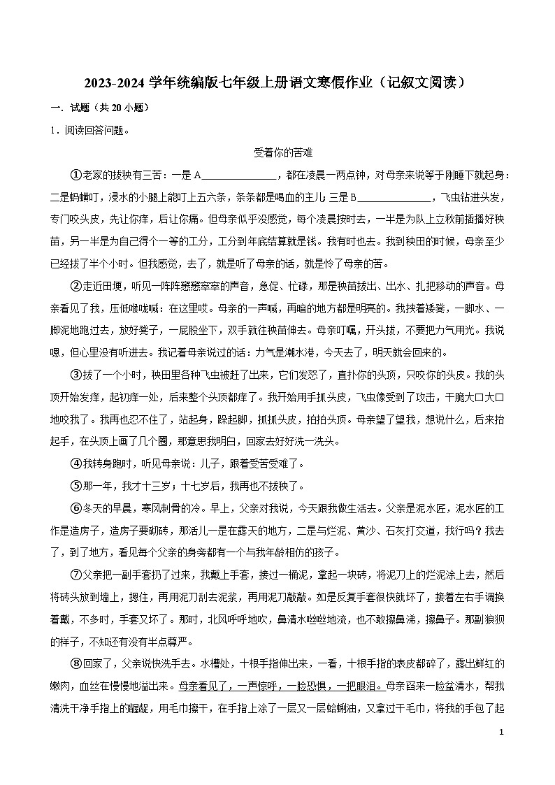09寒假作业（记叙文阅读）-2023-2024学年七年级上册语文寒假作业专题(全国通用)01