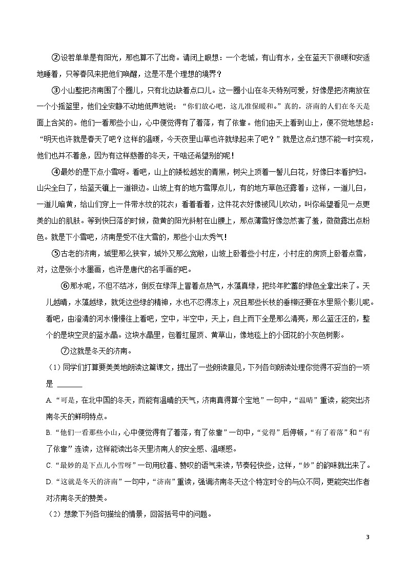 09寒假作业（记叙文阅读）-2023-2024学年七年级上册语文寒假作业专题(全国通用)03