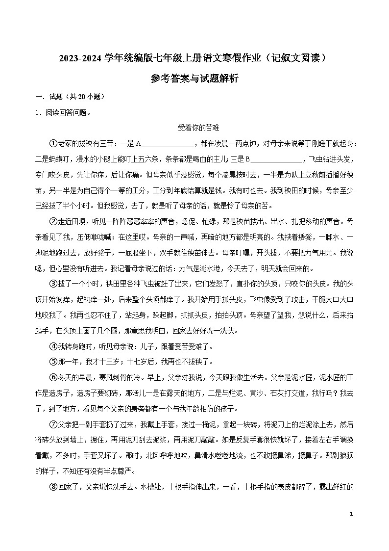 09寒假作业（记叙文阅读）-2023-2024学年七年级上册语文寒假作业专题(全国通用)01