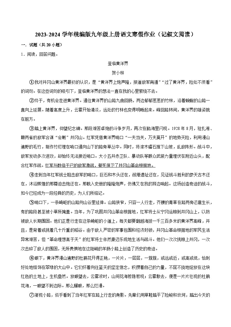 11寒假作业（记叙文阅读）-2023-2024学年九年级上册语文寒假作业专题(全国通用)01