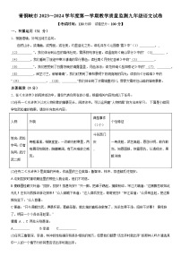 宁夏回族自治区吴忠市青铜峡市2023-2024学年九年级（上）期末语文试题（含解析）