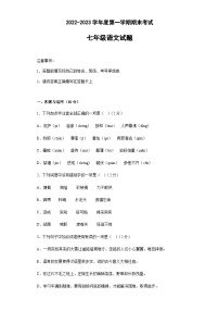 山东省菏泽市东明县2022-2023学年七年级上学期期末考试语文试题