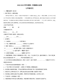 江苏省盐城市盐都区2022-2023学年七年级（上）期末语文试题（含解析）