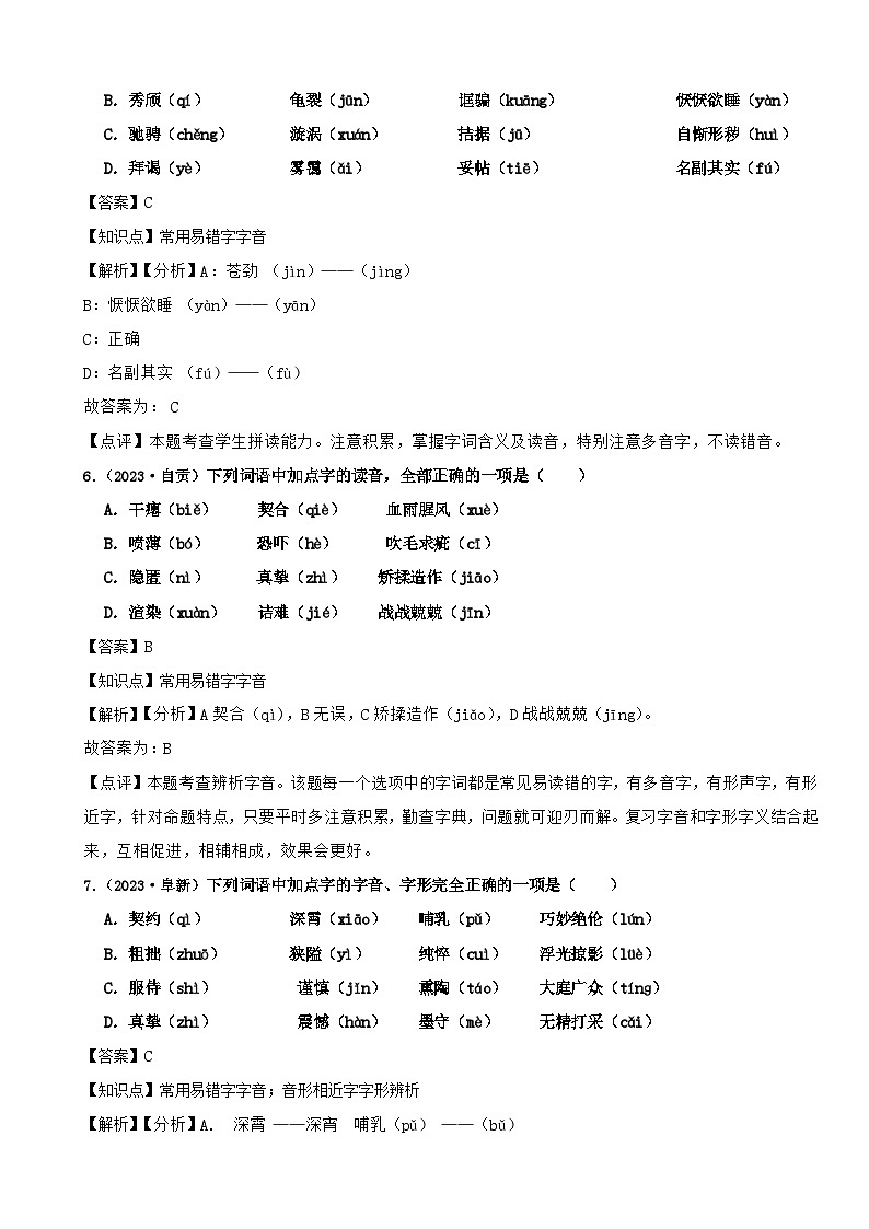 2024年中考语文二轮专题复习基础知识运用之字音（二）（解析）第3页