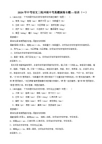 2024年中考语文三轮冲刺中考真题演练专题----语音（一）（解析）