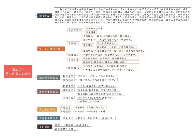 中考语文复习专题精讲+01 第一节-第五节《昆虫记》重点情节思维导图第2页