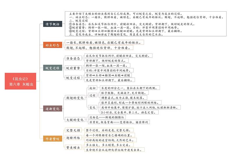 中考语文复习专题精讲+02 第六节-第十节《昆虫记》重点情节思维导图01