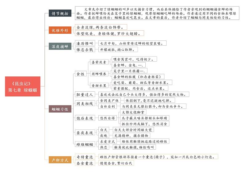 中考语文复习专题精讲+02 第六节-第十节《昆虫记》重点情节思维导图02