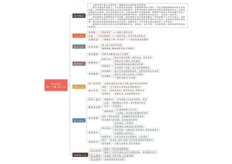 中考语文复习专题精讲+04 第十六节-第二十节《昆虫记》重点情节思维导图02