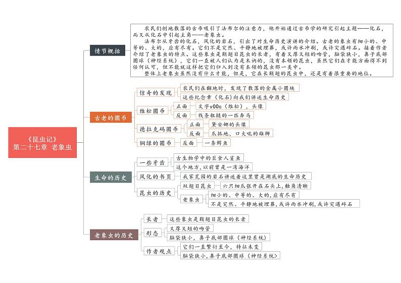 中考语文复习专题精讲+06 第二十六节-第二十九节《昆虫记》重点情节思维导图02