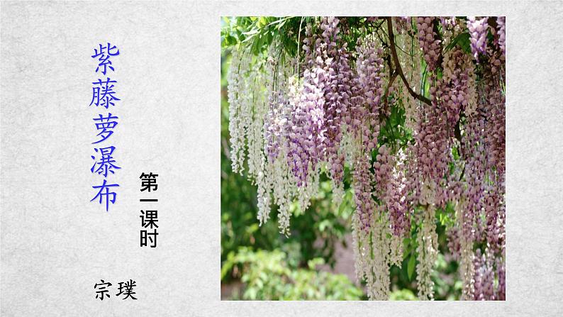 18《紫藤萝瀑布》课件-2020-2021学年部编版语文七年级下册第2页