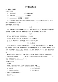 上海市松江区2024年中考语文三模试卷附答案