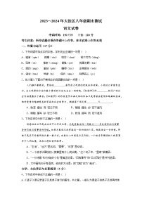 辽宁省盘锦市大洼区2023-2024学年八年级（上）期末语文试题（含解析）
