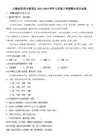 云南省昆明市盘龙区2023-2024学年七年级（上）期末语文试题（含解析）