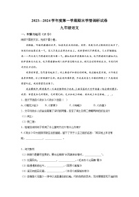 吉林省长春市农安县2023-2024学年九年级（上）期末语文试题（含解析）