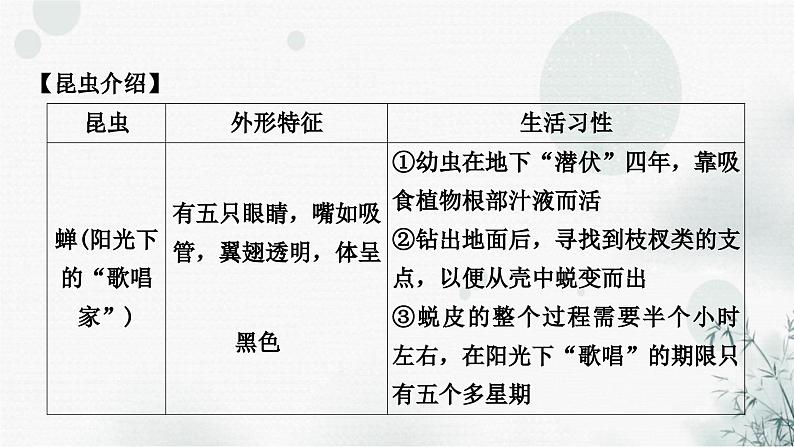 中考语文复习综合学习专题二名著阅读六《昆虫记》课件第8页