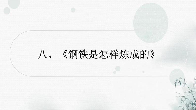 中考语文复习综合学习专题二名著阅读八《钢铁是怎样炼成的》课件01