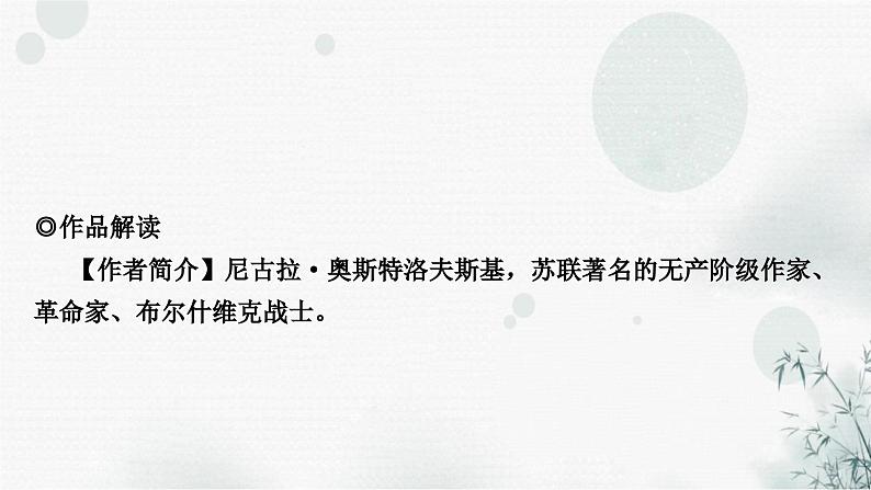 中考语文复习综合学习专题二名著阅读八《钢铁是怎样炼成的》课件04