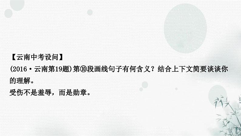 中考语文复习现代文阅读第二讲文本解读类课件第8页