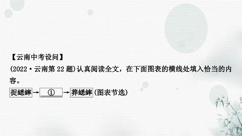 中考语文复习现代文阅读第四讲内容理解概括课件第5页