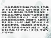 中考语文复习现代文阅读专题二说明文阅读课件