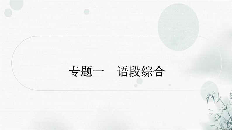 中考语文复习积累与运用专题一语段综合考点1字音字形课件第1页