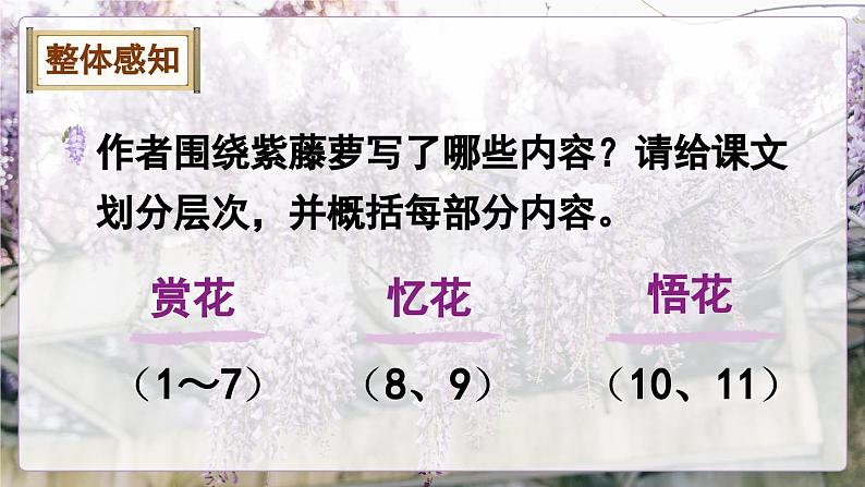 统编版七年级语文下册课件 第五单元 18 紫藤萝瀑布第8页