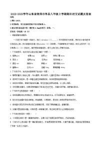 2022-2023学年山东省菏泽市单县八年级上学期期末语文试题及答案