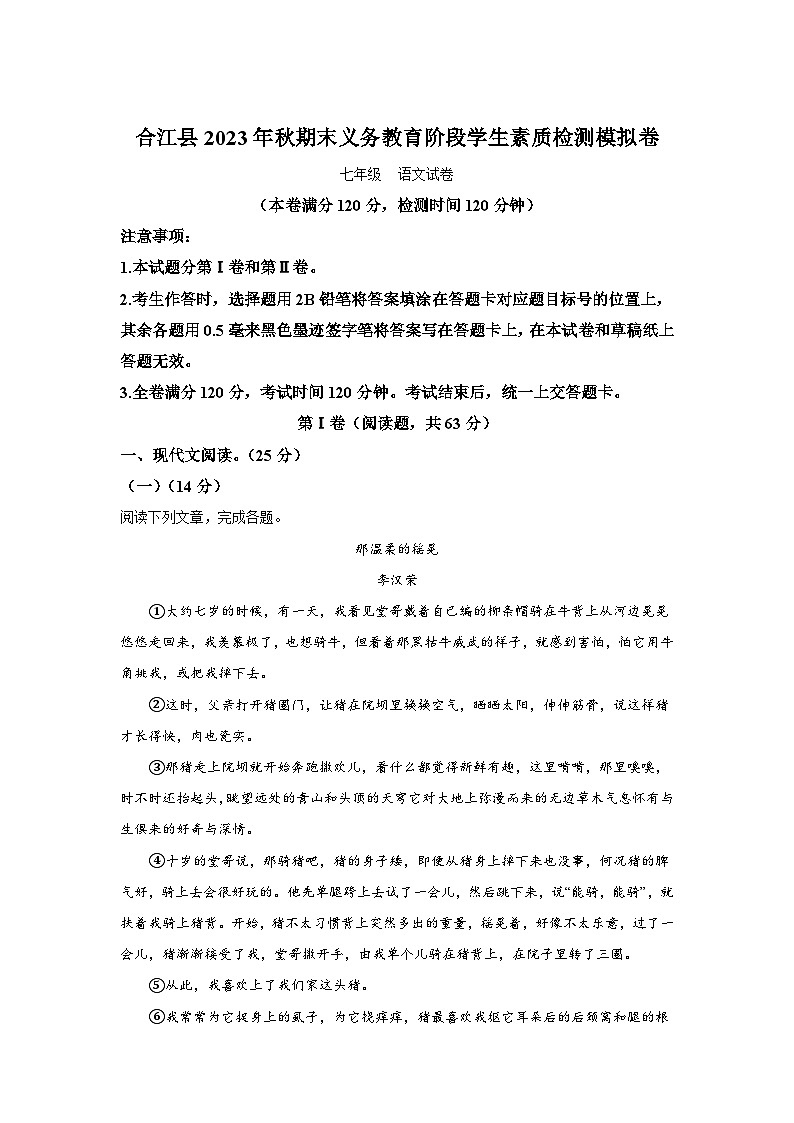 四川省泸州市合江县2023-2024学年七年级（上）期末语文试题（含解析）01