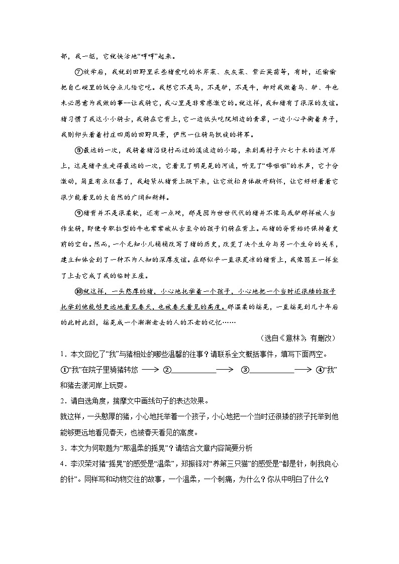 四川省泸州市合江县2023-2024学年七年级（上）期末语文试题（含解析）02