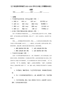 辽宁省沈阳市浑南区2023-2024学年九年级上学期期末语文试题(含答案)