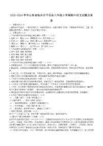 2023-2024学年山东省临沂市平邑县八年级上学期期中语文试题及答案
