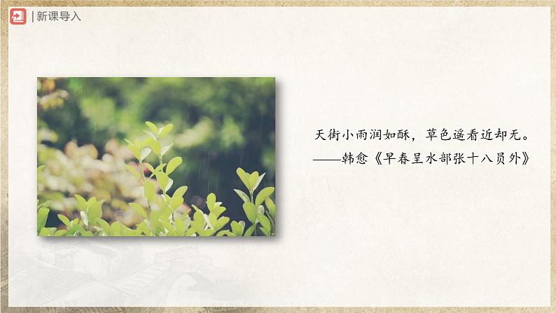 【部编版】八下语文  2.5 《大自然的语言》（第1课时）（课件+教案+导学案）02