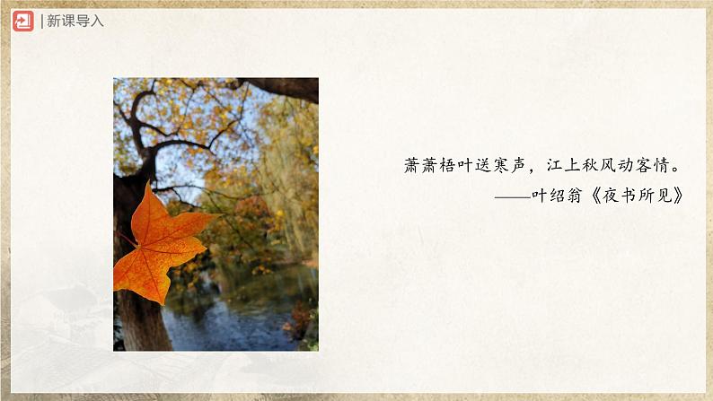 【部编版】八下语文  2.5 《大自然的语言》（第1课时）（课件+教案+导学案）04